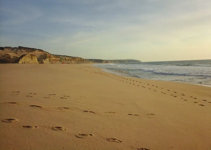 Oasis Comfort * 포티마오