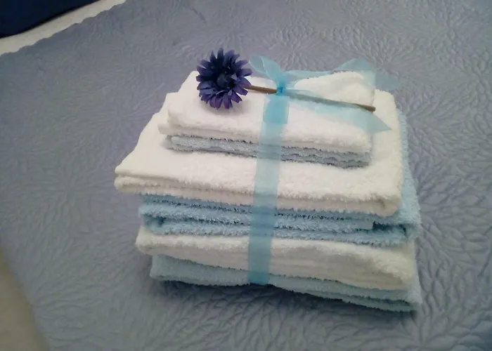 Oasis Comfort * 포티마오