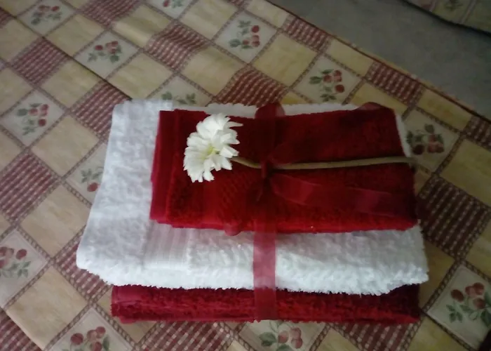 Oasis Comfort 포티마오